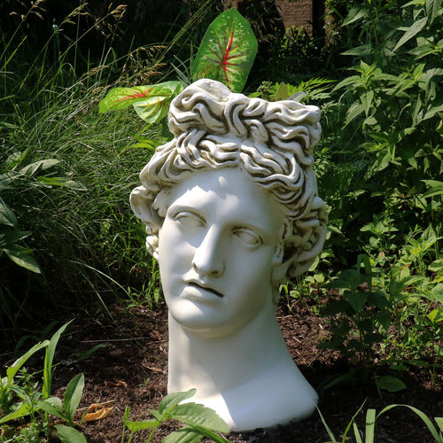 Apollo Head Planter Bust Display Decor (17-Inch)