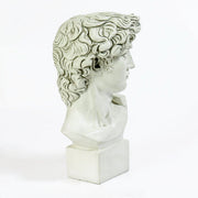 Classical Renaissance bust of a young man with curly hair, detailed facial features, and an ornate, sculpted base. Different Angle