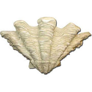 Ornate old world European shell wall sconce with classical scalloped design and intricate Renaissance-inspired detailing.