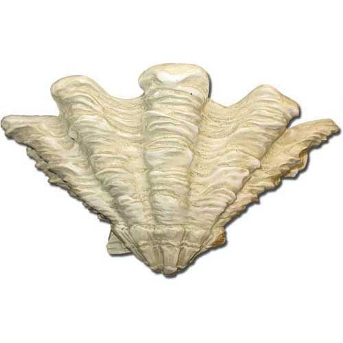 Ornate old world European shell wall sconce with classical scalloped design and intricate Renaissance-inspired detailing.