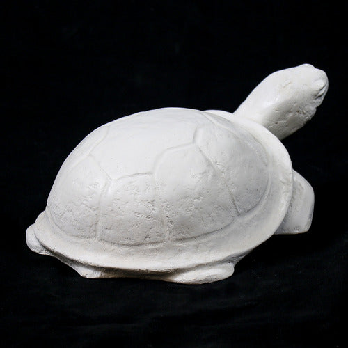 Tortoise sculpture with classical old world European style, featuring smooth, rounded shell and stylized, simplified details. Different Angle