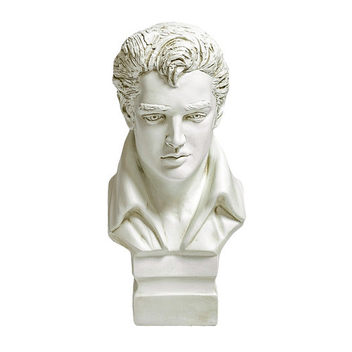 Classical European-style male bust with detailed facial features and wavy hair, inspired by Renaissance and old world sculpture. Different Angle