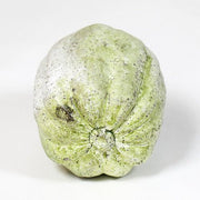 Acorn Squashstatue (4 - Inch) Different Angle