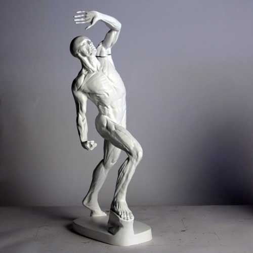 Anatomy of Man Garden Statue (28 - Inch) Other Angle