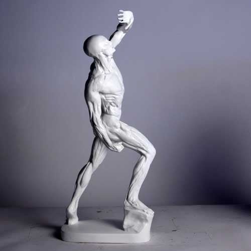 Anatomy of Man Garden Statue (28 - Inch) Side View