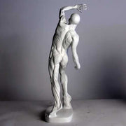 Anatomy of Man Garden Statue (28 - Inch) Side Angle