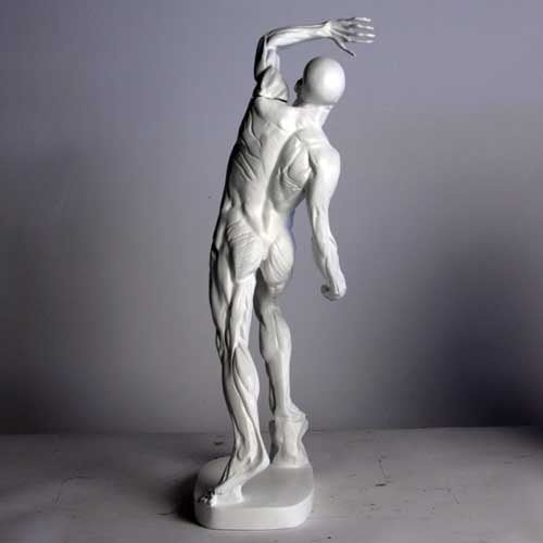 Anatomy of Man Garden Statue (28 - Inch) Side Angle