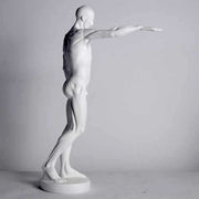 Anatomy of Man Garden Statue (29 - Inch) Side View