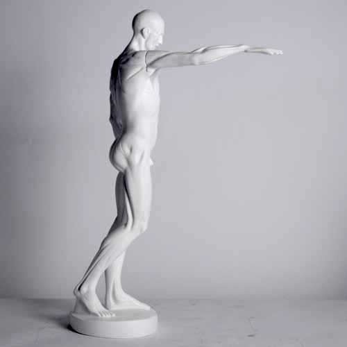 Anatomy of Man Garden Statue (29 - Inch) Side View