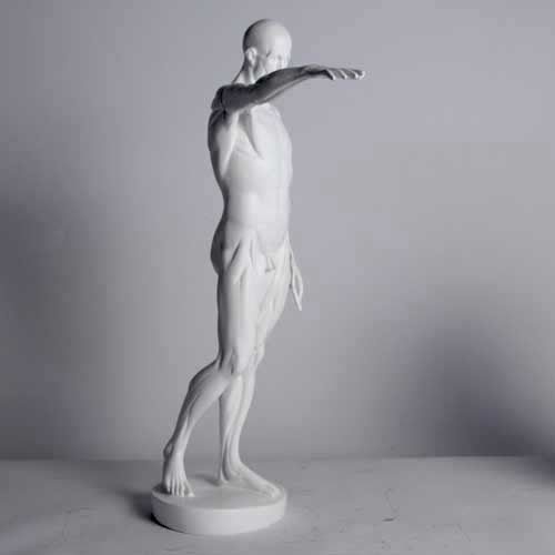 Anatomy of Man Garden Statue (29 - Inch) Side Angle View