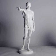 Anatomy of Man Garden Statue (29 - Inch) Angled View