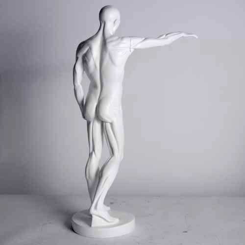 Anatomy of Man Garden Statue (29 - Inch) Additional Angle