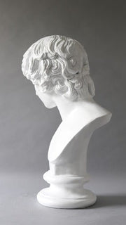 Antinous Bust Display Decor (26 - Inch)