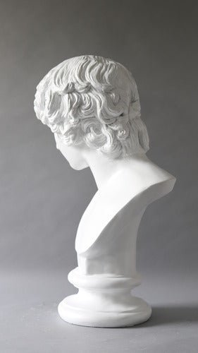 Antinous Bust Display Decor (26 - Inch)