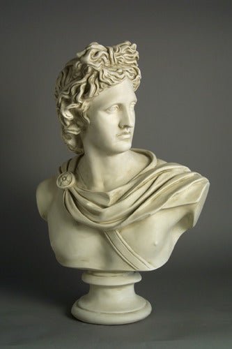 Apollo Belvedere Bust Display Decor (31 - Inch)
