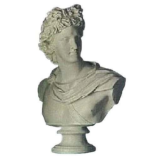 Apollo Belvedere Bust Display Decor (31-Inch)