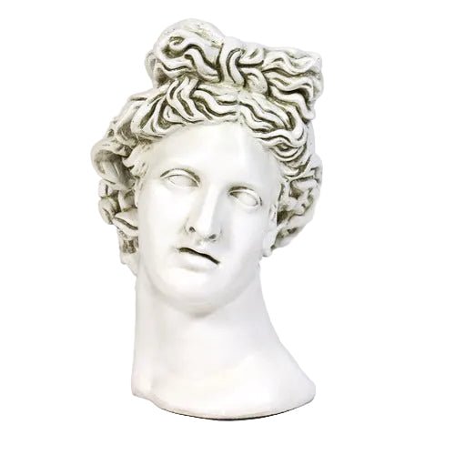 Apollo Head Planter Bust Display Decor (17-Inch)