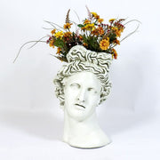 Apollo Head Planter Bust Display Decor (17-Inch)