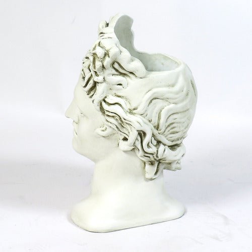 Apollo Head Planter Bust Display Decor (17-Inch)