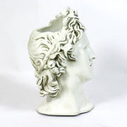 Apollo Head Planter Bust Display Decor (17-Inch)