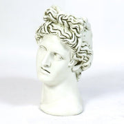 Apollo Head Planter Bust Display Decor (17-Inch)