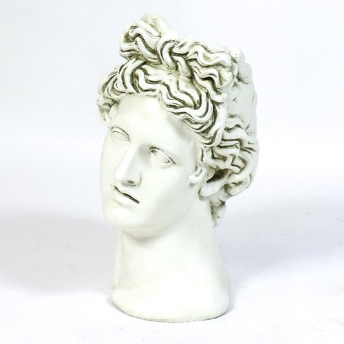 Apollo Head Planter Bust Display Decor (17-Inch)