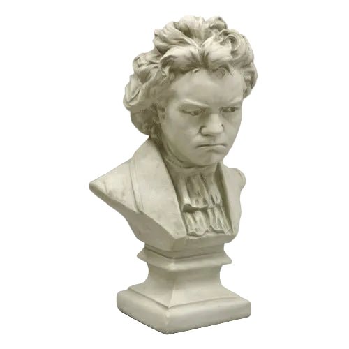 Beethoven With Shirt (26-Inch)
