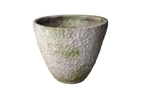 Blossom Garden (10 - Inch)
