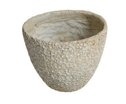 Blossom Garden (8 - Inch)