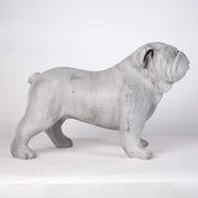 Bulldog Dog Garden Statue (17 - Inch) Different Angle