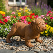 Bulldog Garden Statue (7.5 - Inch) Side Angle
