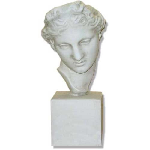 Bust Venus at Bath Bust Display Decor (18-Inch)