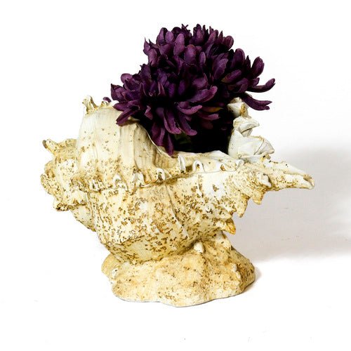 Caribbean Conch Garden Statue (6.59 - Inch) Side View