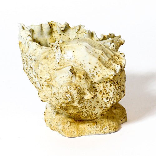Caribbean Conch Garden Statue (6.59 - Inch)