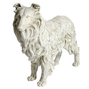 Collie Statue (24 - Inch)