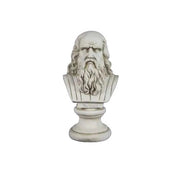 Da Vinci Bust Display Decor (12-Inch)