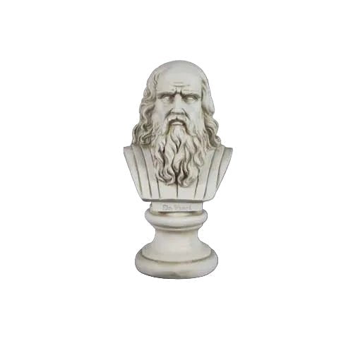 Da Vinci Bust Display Decor (12-Inch)