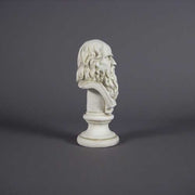 Da Vinci Bust Display Decor (12-Inch)