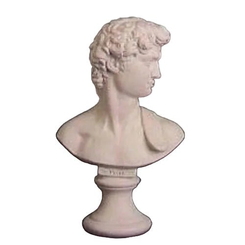 David Bust Display Decor (15 - Inch)