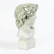 David Bust Medium Bust Display Decor (17-Inch)