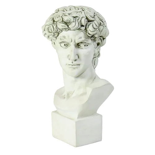 David Bust Medium Bust Display Decor (17-Inch)