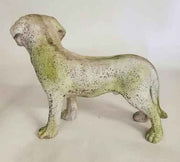 Dog Pup Garden Statue (19 - Inch) Other Angle