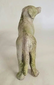 Dog Pup Garden Statue (19 - Inch)