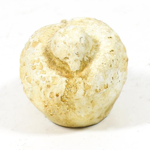 Dove Bird Garden Statue (4 - Inch)