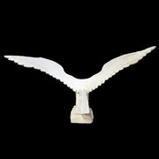 Eagle Bird Garden Statue (53 - Inch) Other Angle