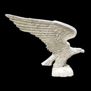 Eagle Bird Garden Statue (53 - Inch) Different Angle