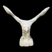 Eagle Bird Garden Statue (53 - Inch) Additional Angle