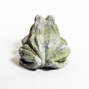 Frog Garden Statue (10 - Inch) Different Angle