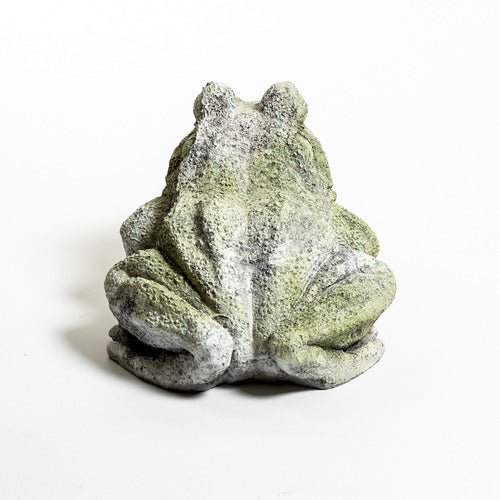 Frog Garden Statue (10 - Inch) Different Angle