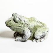 Frog Garden Statue (10 - Inch) Side View